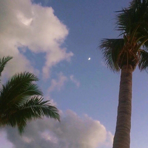 我的世界美女被❌羞羞
